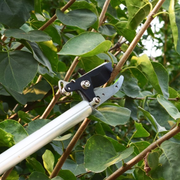 Premium Aluminium Long Garden Shear Cut &amp; Hold for Precision Trimming | KSEIBI