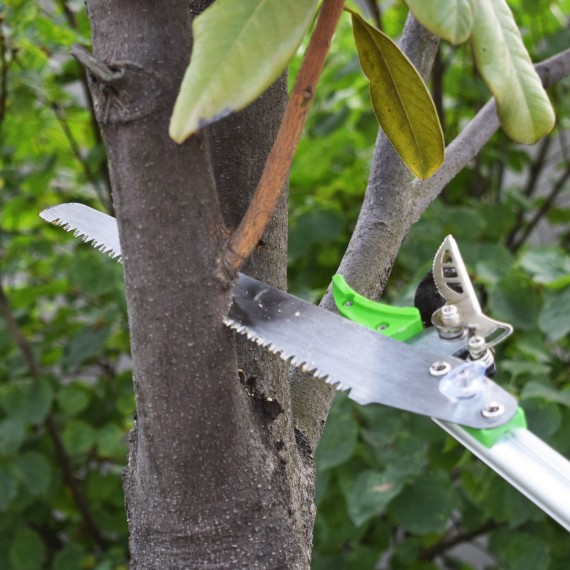 Premium Aluminium Long Garden Shear Cut &amp; Hold for Precision Trimming | KSEIBI