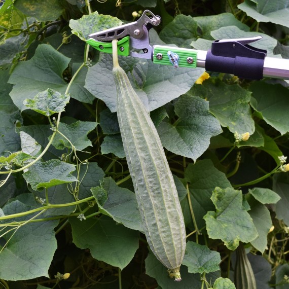 Premium Aluminium Long Garden Shear Cut &amp; Hold for Precision Trimming | KSEIBI