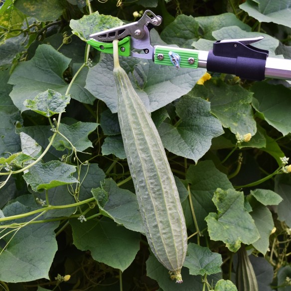 Premium Aluminium Long Garden Shear Cut &amp; Hold for Precision Trimming | KSEIBI