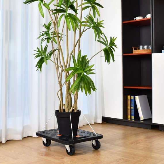 خرید دالی پلاستیکی با کیفیت و مقاوم | KSEIBI