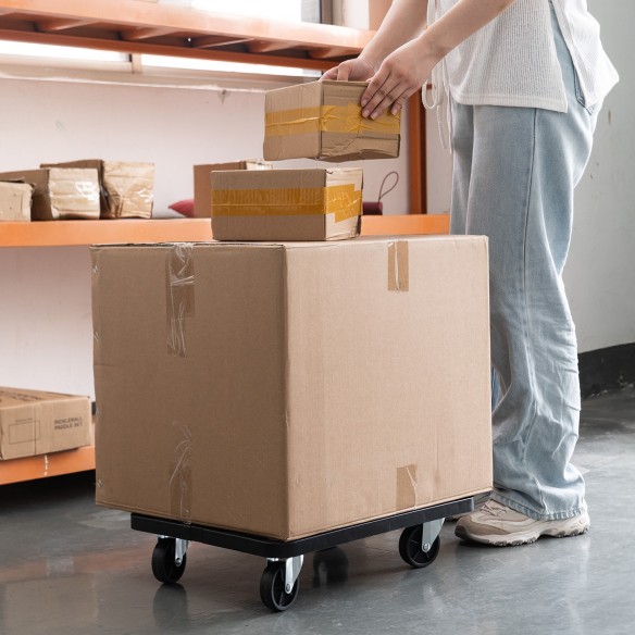 High-Quality Plastic Dolly for Easy Moving | KSEIBI