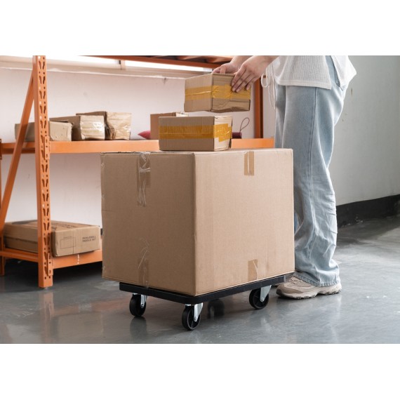 خرید دالی پلاستیکی با کیفیت و مقاوم | KSEIBI