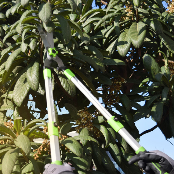 High-Quality Aluminium Telescoping Garden Shears for Precision Cutting | KSEIBI