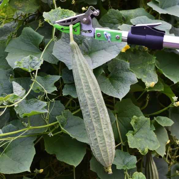 Купить алюминиевые садовые ножницы с функцией удержания | KSEIBI